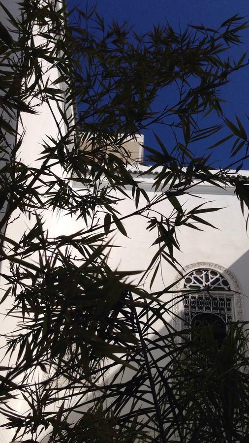 Riad Blanc De Fes Ngoại thất bức ảnh